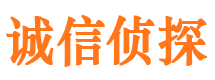 新蔡市侦探调查公司